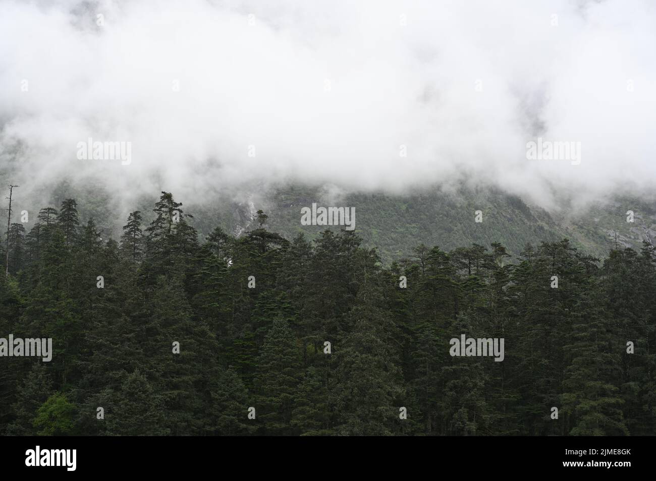 Die Berge der Provinz Yunnan in China erkunden Stockfoto