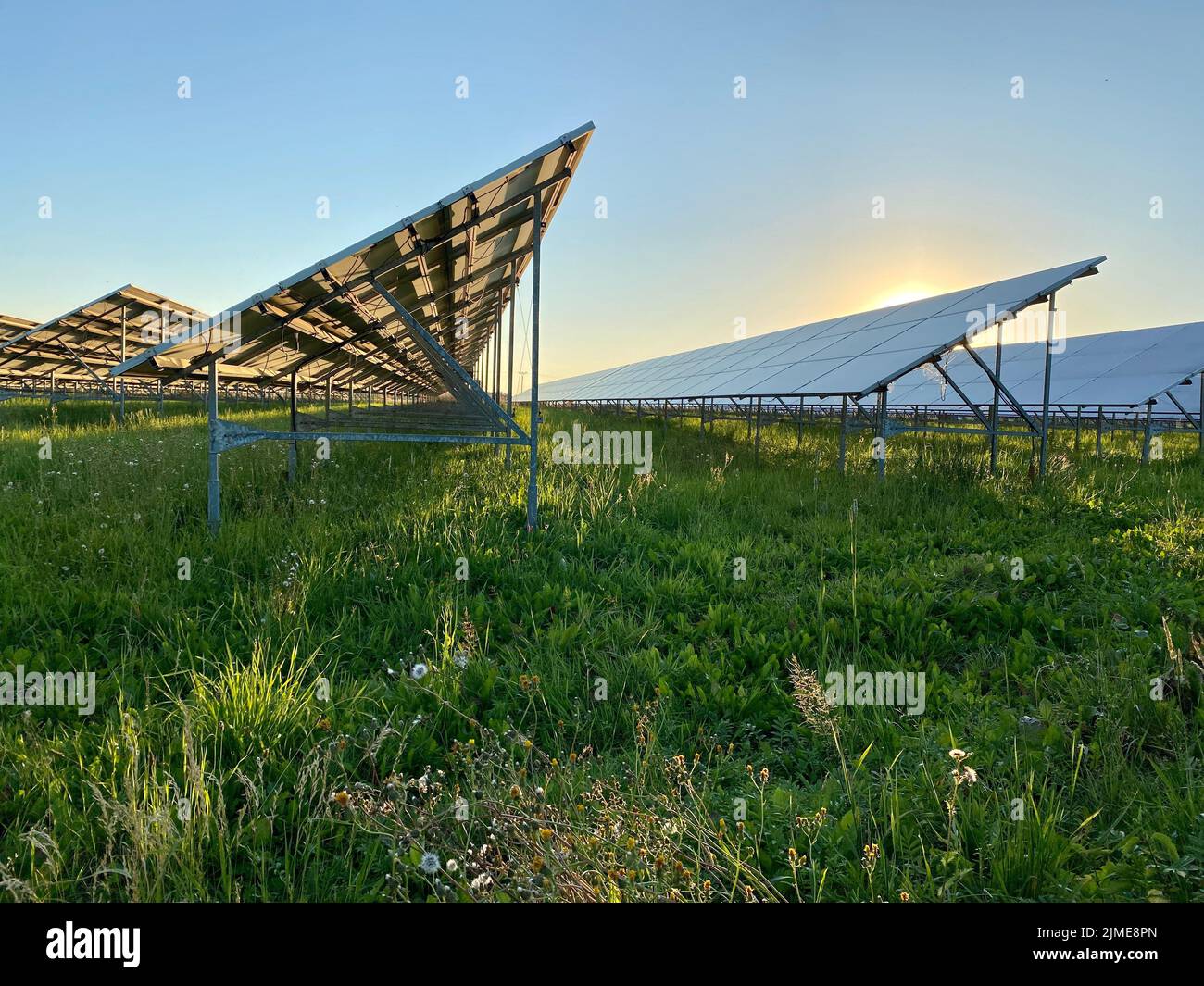 Ein Blick auf ein Solarkraftwerk, Reihen von Solarmodulen oder Paneelen im Feld unter Sonne Stockfoto