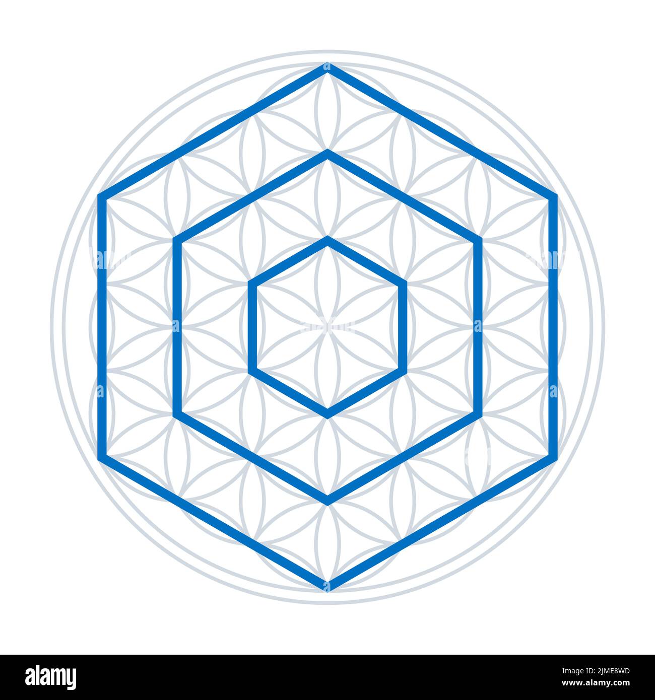 Drei Sechsecke in einer Blume des Lebens. Blaue Polygone mit jeweils sechs Seiten, die Spitzen nach oben, über einer geometrischen Figur, mit überlappenden Kreisen. Stockfoto
