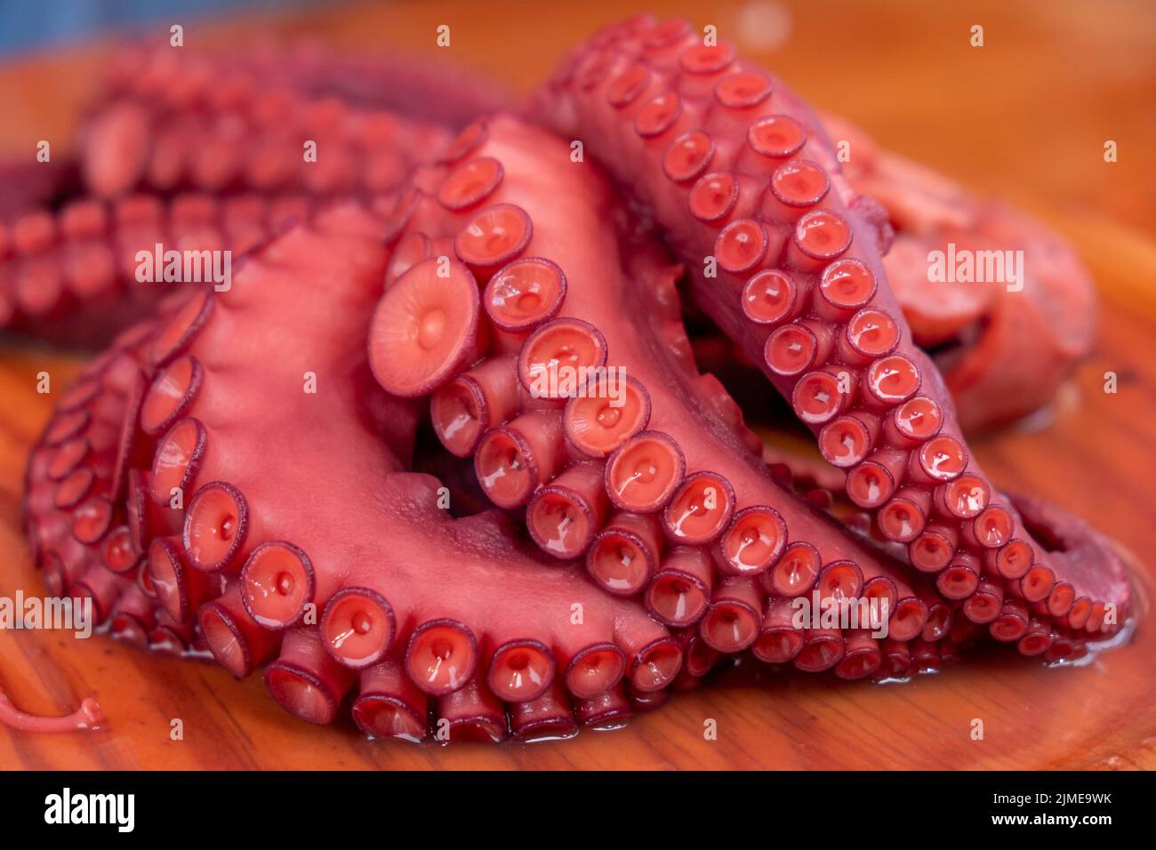 Octopus Tentakeln kochten ein traditionelles galizisches Rezept im feira-Stil. Pulpo á feira. Spanien. Stockfoto