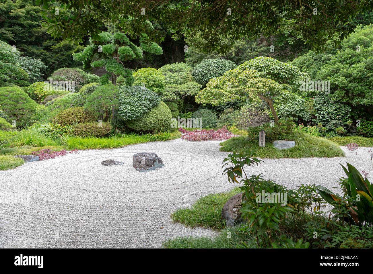 Ein schönes, ruhiges Bild des grünen japanischen Gartens in Kamakura, Kanagwa, Japan, Konzept des Zen Stockfoto