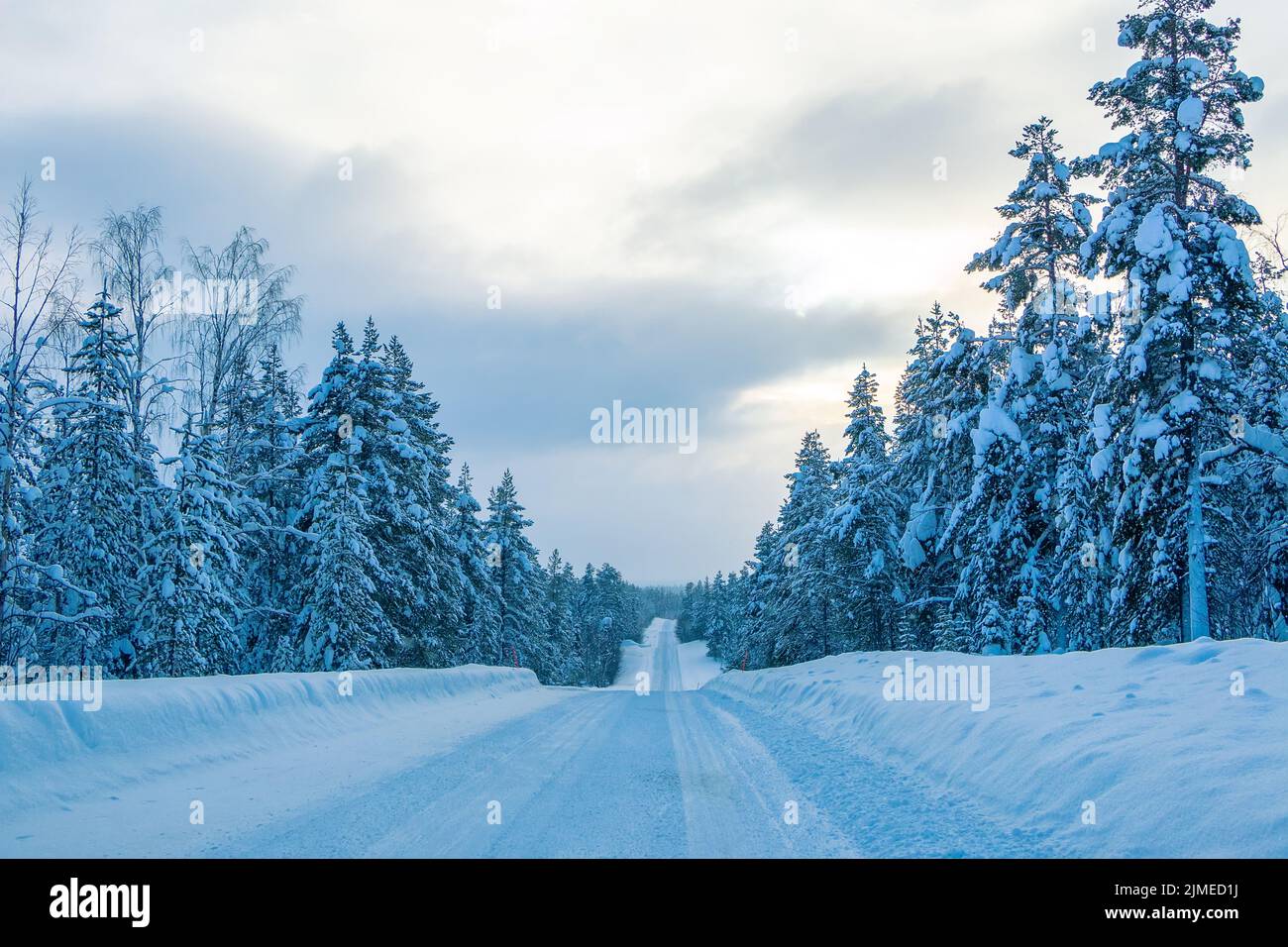 Leere Straße im finnischen Winterwald Stockfoto