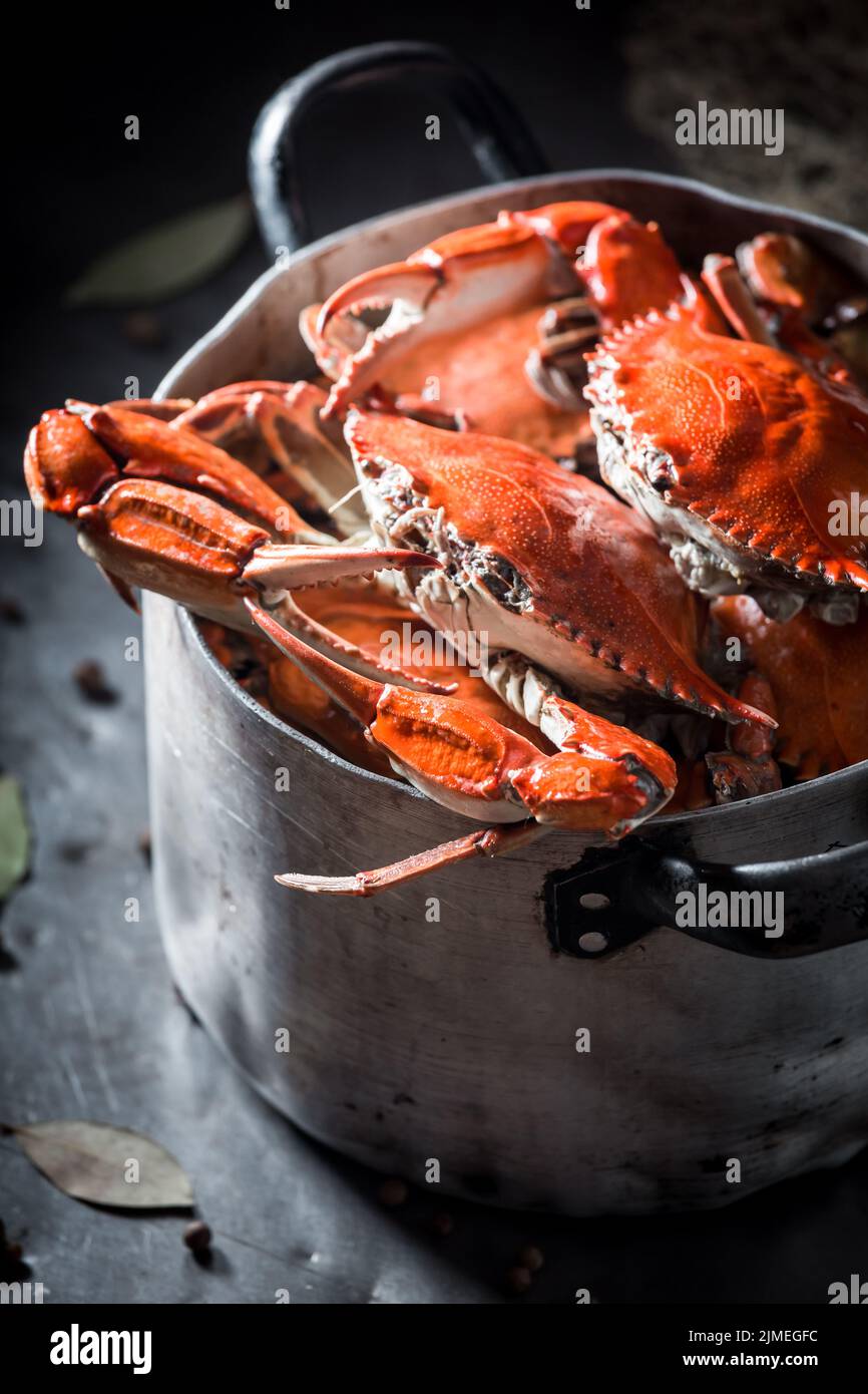 Zutaten für leckere rote Krabben mit Lorbeerblatt und Piment. Vorbereitungen zum Kochen von Krabben mit Kräutern. Stockfoto