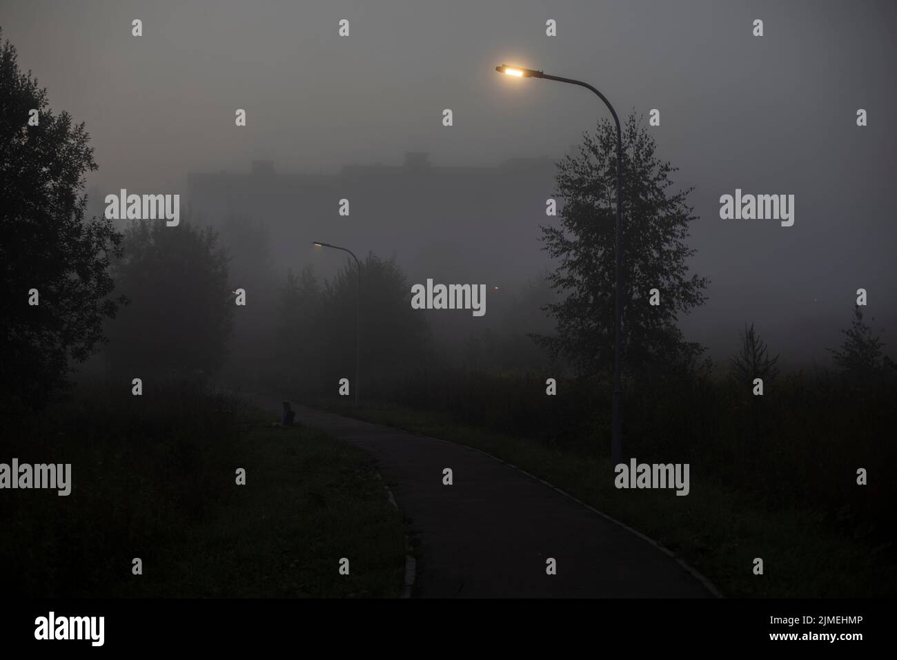 Ein Lichtmast im Nebel. Lichtquelle am frühen Morgen. Nasses Wetter im Park. Stockfoto