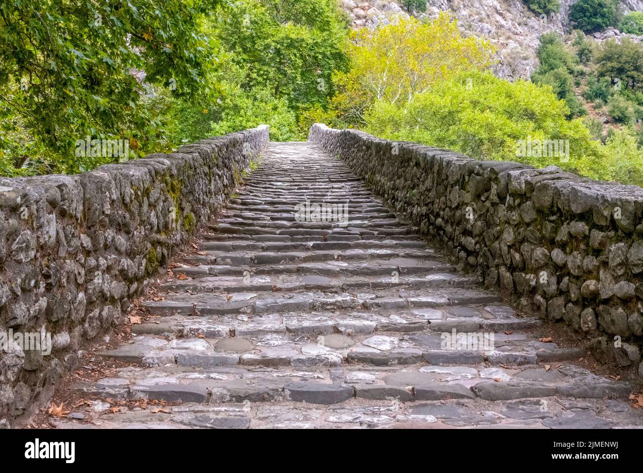 Alte Steintreppen im Sommerpark Stockfoto