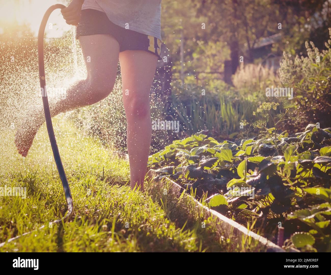 An einem warmen Sommertag im Wasser planschen, Spaß im Freien haben und sich erfrischen Stockfoto