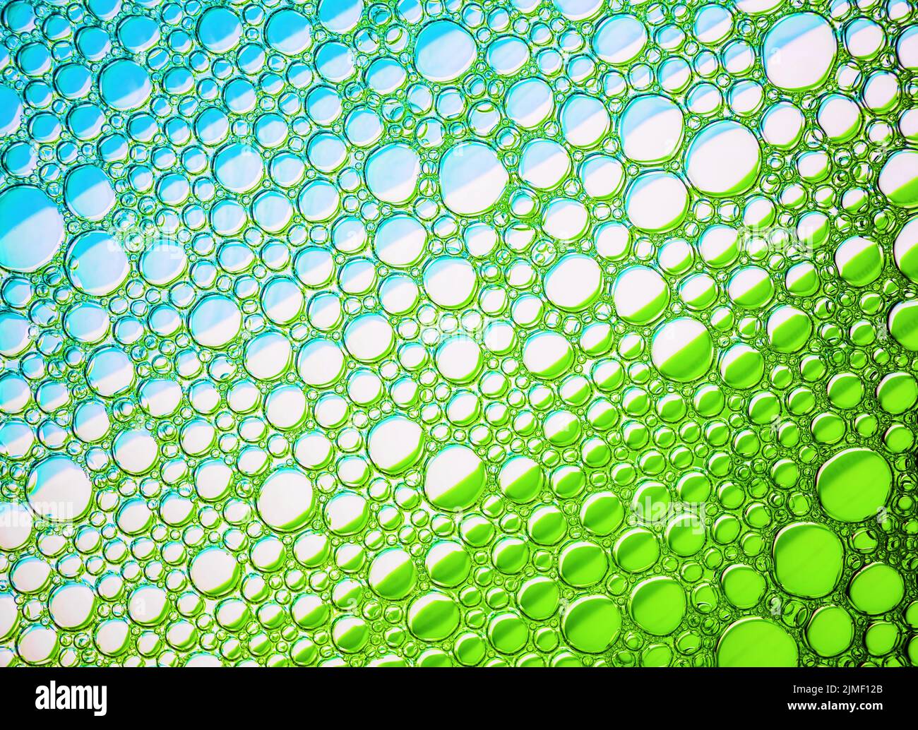 Grüne Blasen-Textur Stockfoto