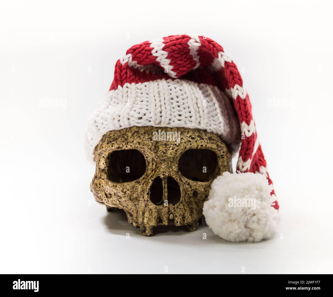 Affe Totenkopf mit weihnachtsschmuck und Elfhut Stockfoto