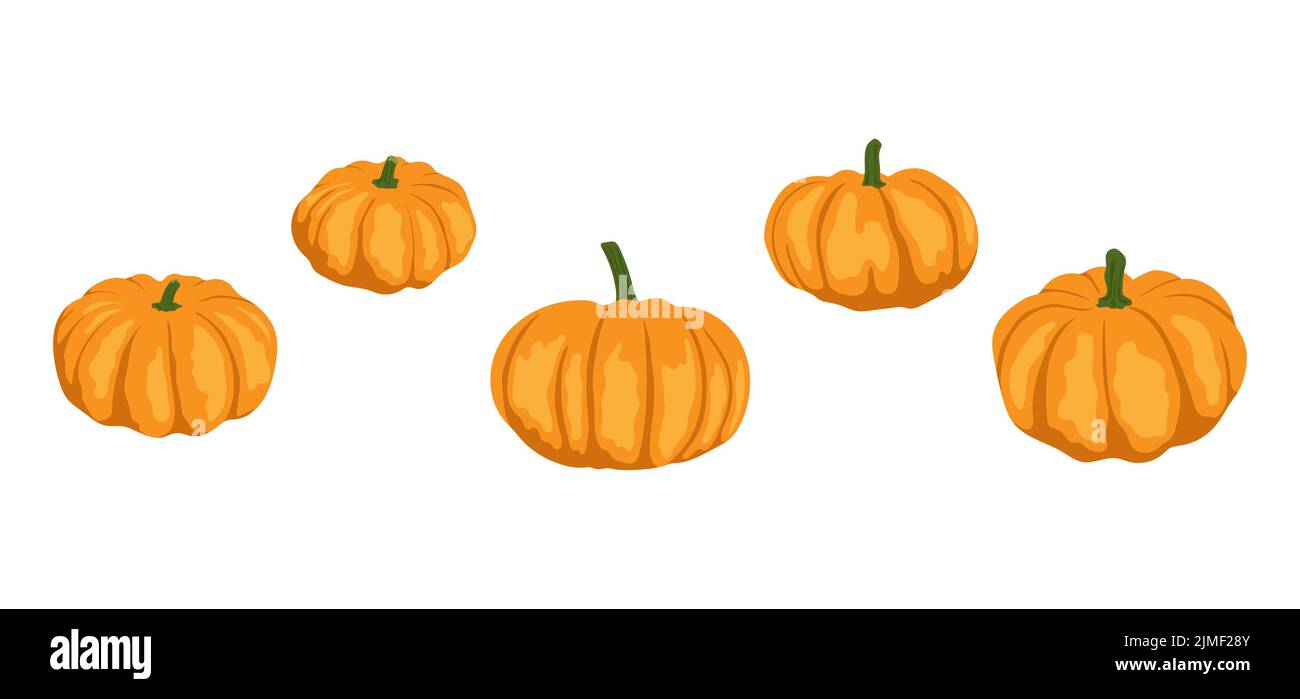 Satz von Kürbissen. Vektorgrafik für Design Poster, Banner, Print. Stock Vektor