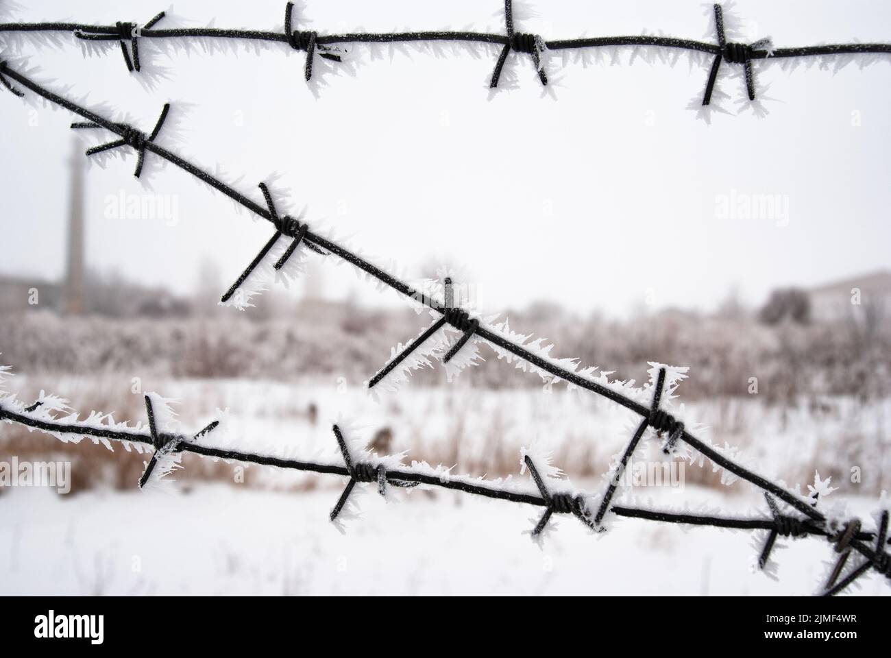 Stacheldrahtzaun bedeckt mit Frost Winterzeit um geschlossenen Bereich Stockfoto