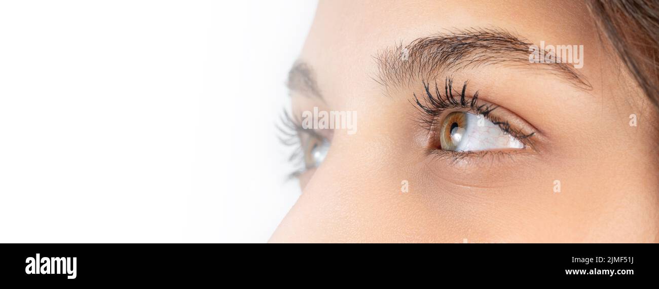 Nahaufnahme, Profilfoto eines weiblichen Auges, einer Iris, einer Pupille, Wimpern, Augenlidern. Hochwertige Fotos Stockfoto