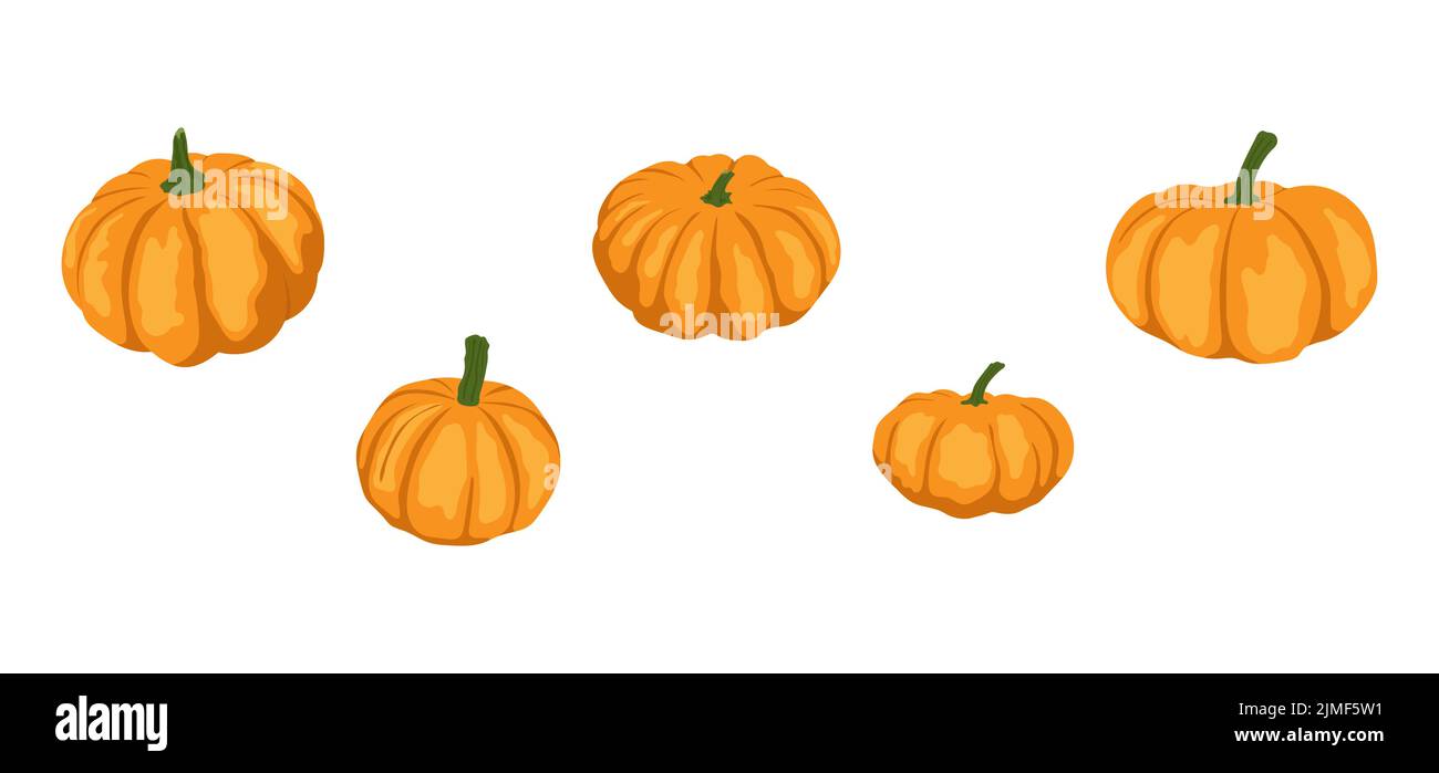 Satz von Kürbissen. Vektorgrafik für Design Poster, Banner, Print. Stock Vektor