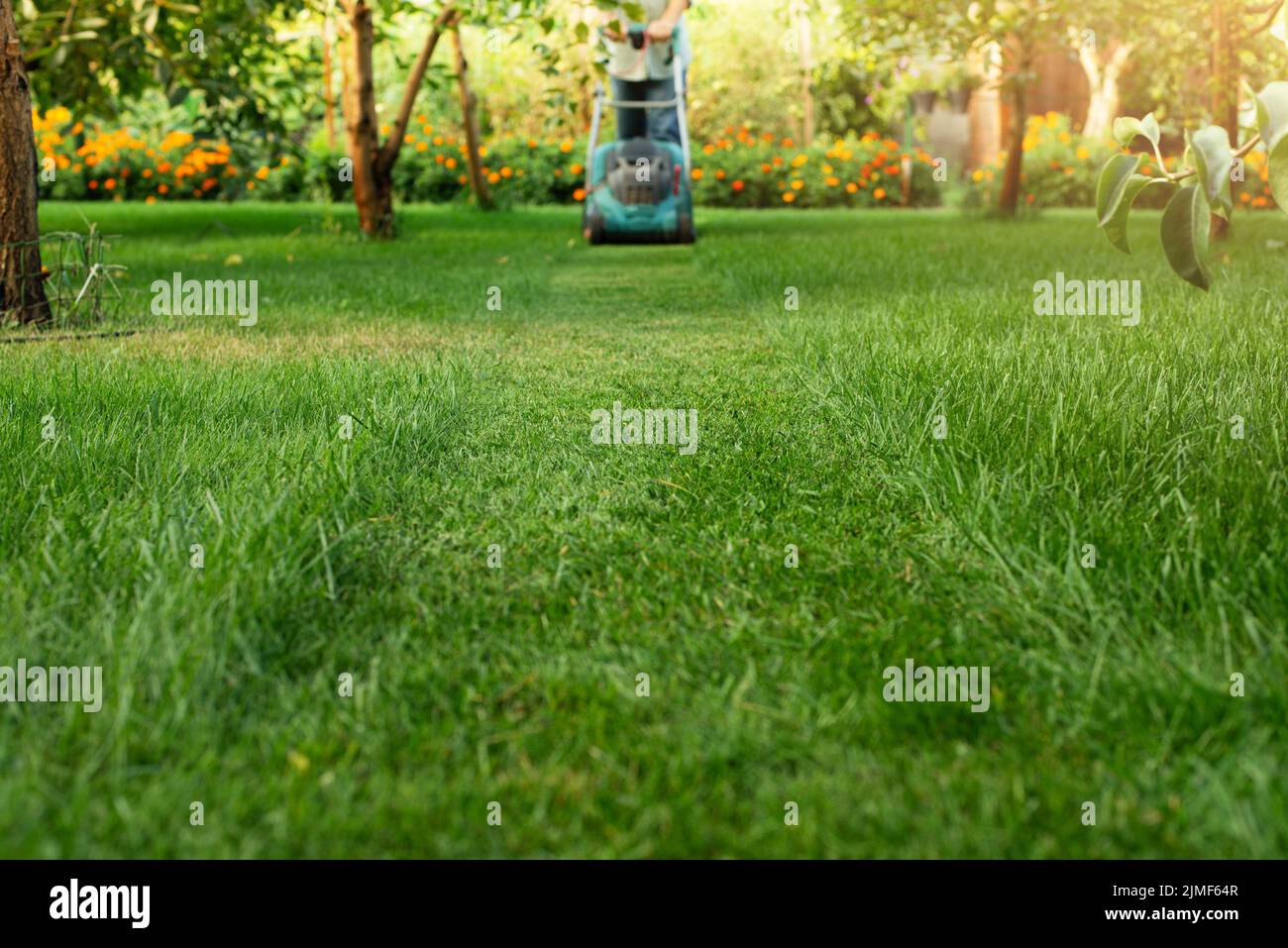 Mann schiebt den Rasenmäher. Rasenpflege Hintergrund, Ort für Text Stockfoto