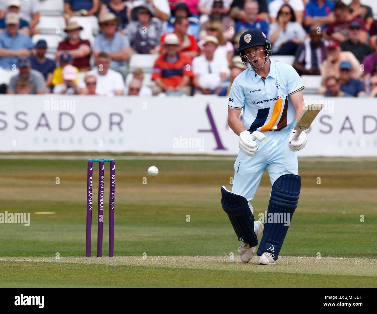 CHELMSFORD ENGLAND - 05. AUGUST : Harry kam von Derbyshire CCC während des Royal London One-Day Cup Spiels zwischen Essex Eagles CCC und Derbyshire CCC Stockfoto