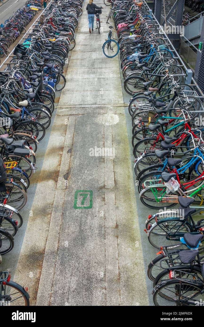 Toller Fahrradparkplatz In Amsterdam Stockfoto