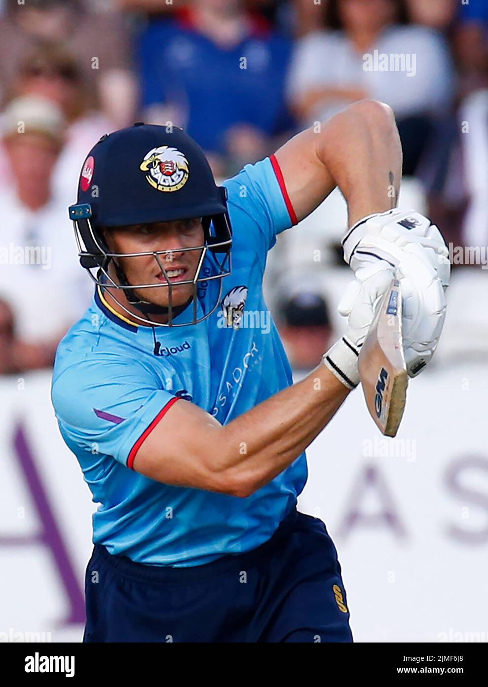 CHELMSFORD ENGLAND - 05. AUGUST :Essex's Grant Roelofsen während des Royal London One-Day Cup Spiels zwischen Essex Eagles CCC und Derbyshire CCC am Stockfoto