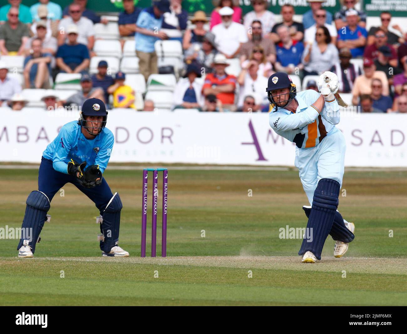 CHELMSFORD ENGLAND - 05. AUGUST : Mattie McKiernan von Derbyshire CCC während des Royal London One-Day Cup Spiels zwischen Essex Eagles CCC und Derbyshire Stockfoto