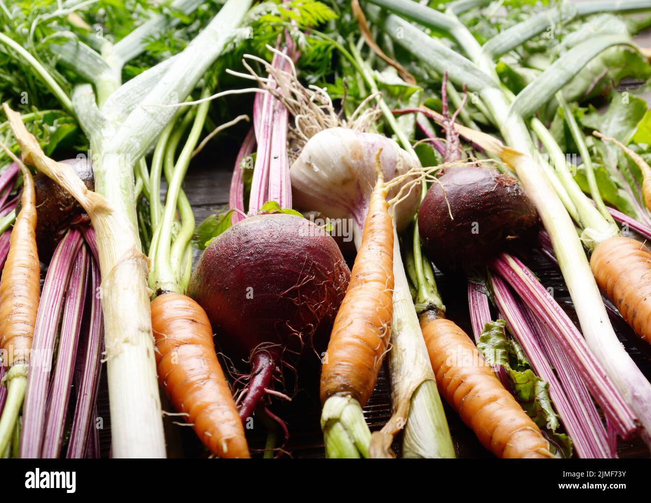 Vegan Hintergrund von frischen Bio rote Bete grün Knoblauch und Möhren Stockfoto