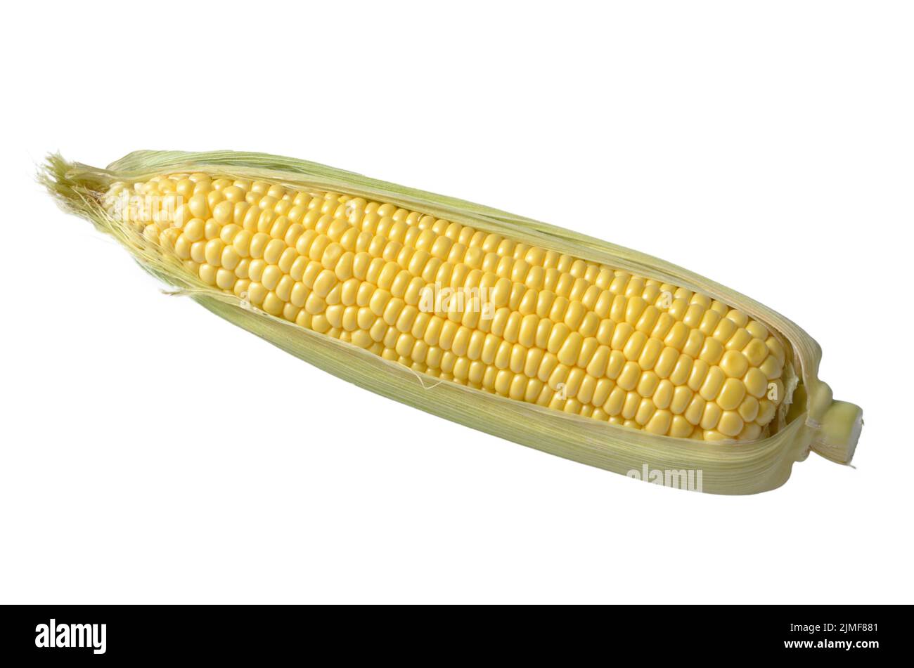 Organische süßes Maiskolben auf weißem Hintergrund. Beschneidungspfad hinzugefügt Stockfoto