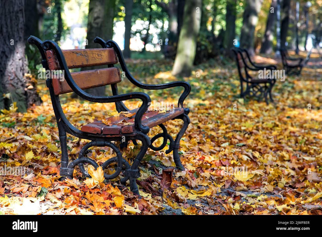 Holzbank in Herbstlandschaft Stockfoto