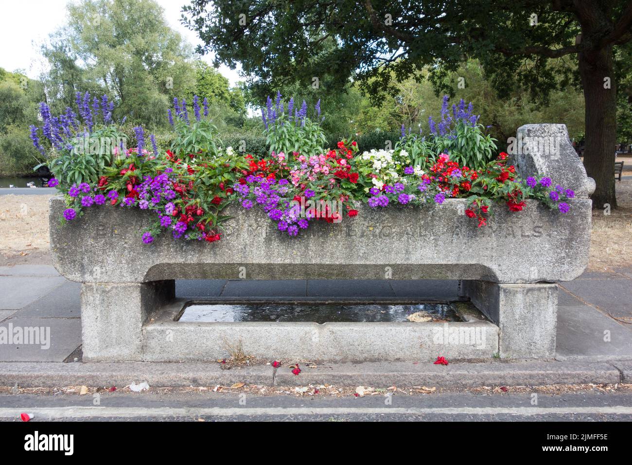 Ein farbenfroher und blühender Metropolitan Trinkbrunnen und Viehstall neben dem Barnes Pond in Barnes, Südwesten Londons, England, Großbritannien Stockfoto