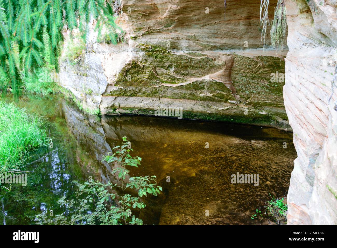 Sommerlandschaft mit Sandsteinfelsen am Ufer eines kleinen wilden Flusses, baumgesäumtes Flussufer, Sommerzeit Stockfoto