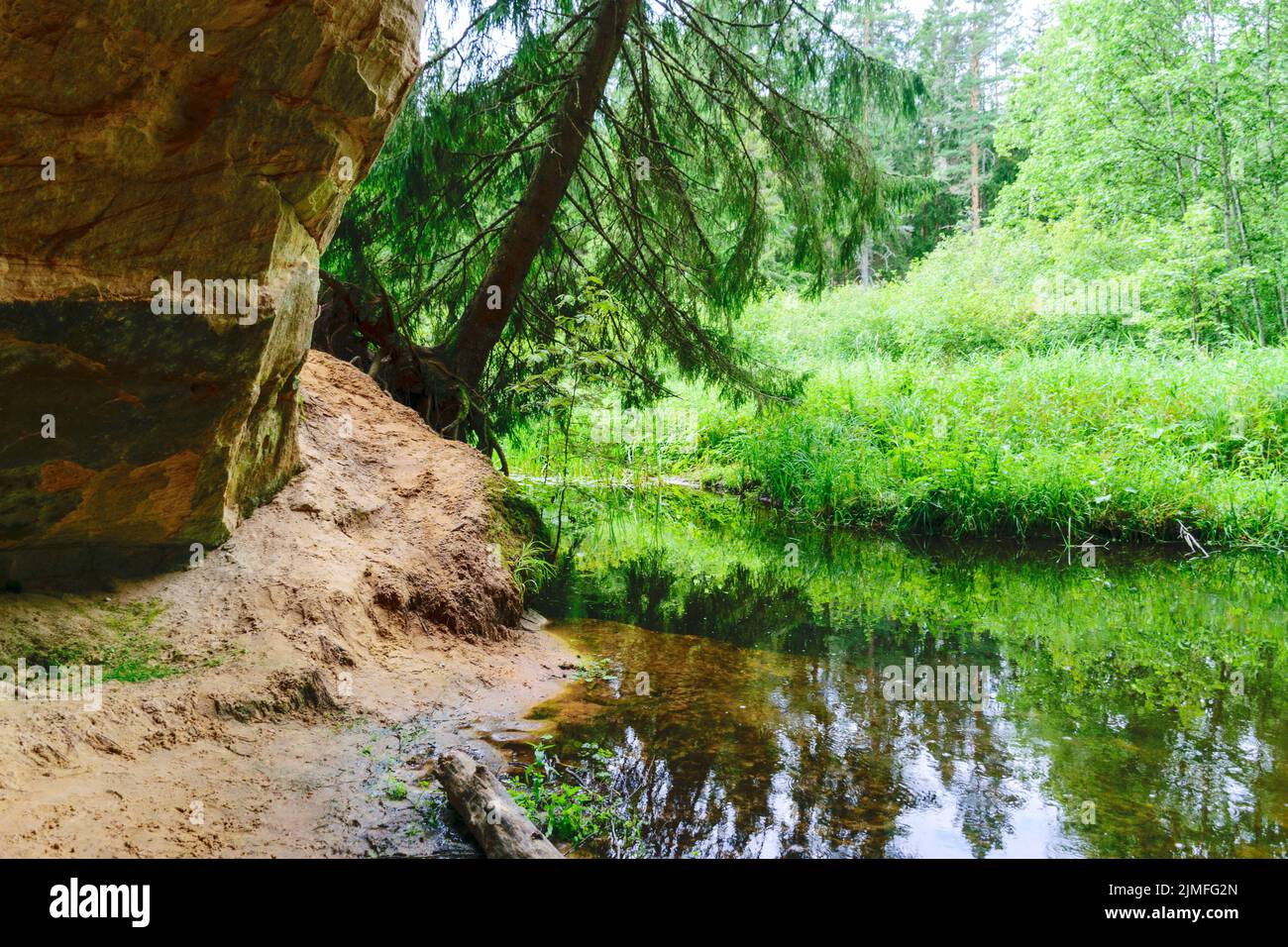 Sommerlandschaft mit Sandsteinfelsen am Ufer eines kleinen wilden Flusses, baumgesäumtes Flussufer, Sommerzeit Stockfoto