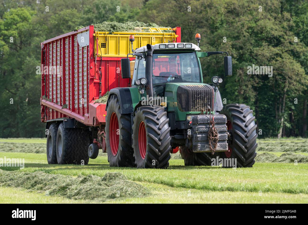 Mit einem grünen Traktor und einem roten Ladewagen getrocknetes Gras für die Silage aufsammeln Stockfoto