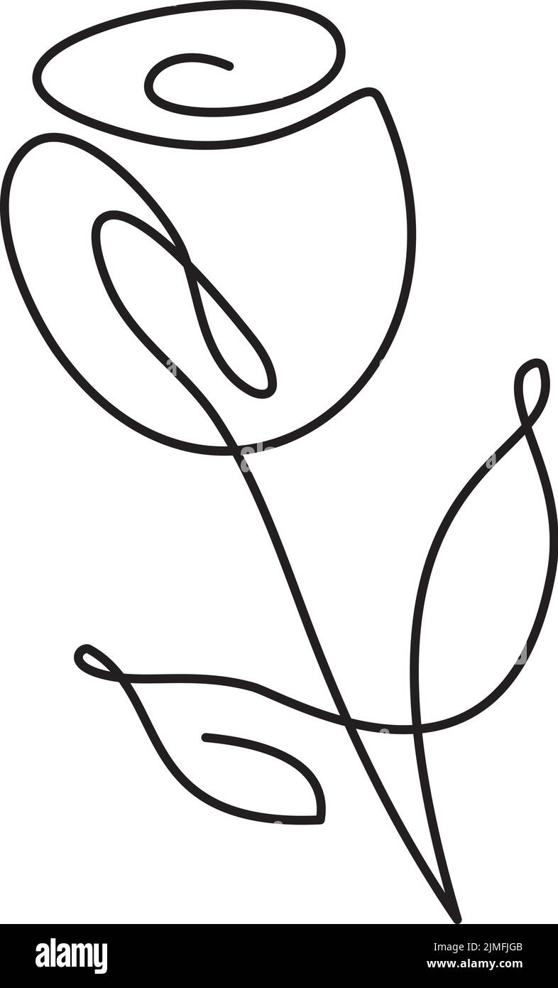 Kontinuierliche Kunst eine Linie Zeichnung Vektor kalligraphische Blume Rose Logo. Schwarze Skizze von Pflanzen isoliert auf weißem Hintergrund. Illustration Sommer Stock Vektor
