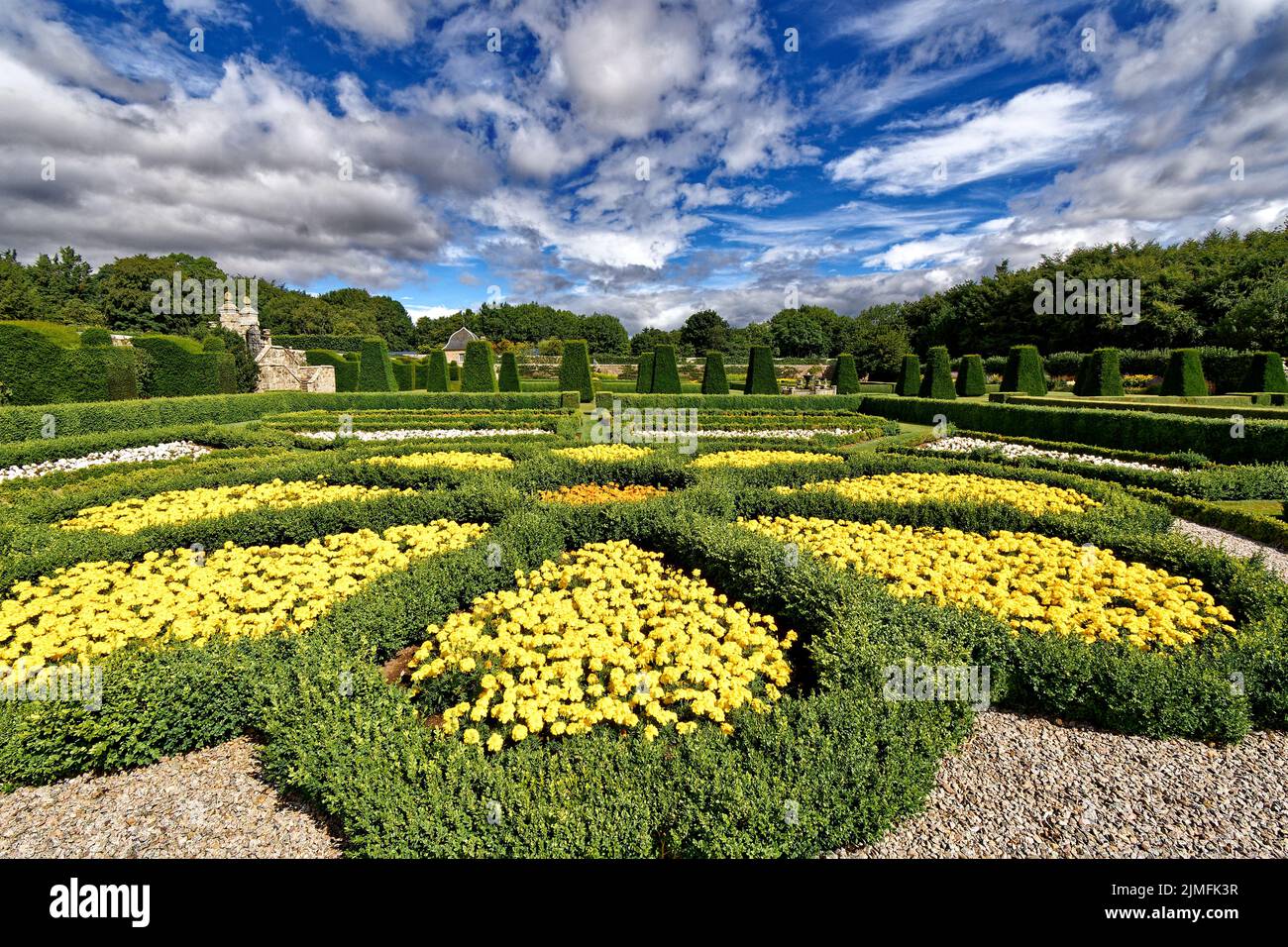 PITMEDDEN GARDEN ABERDEENSHIRE SCOTLAND IM SOMMER UNTERERE GARTENPARTERRES UND SPEKTAKULÄRE GELBE BLUMENBEETE Stockfoto