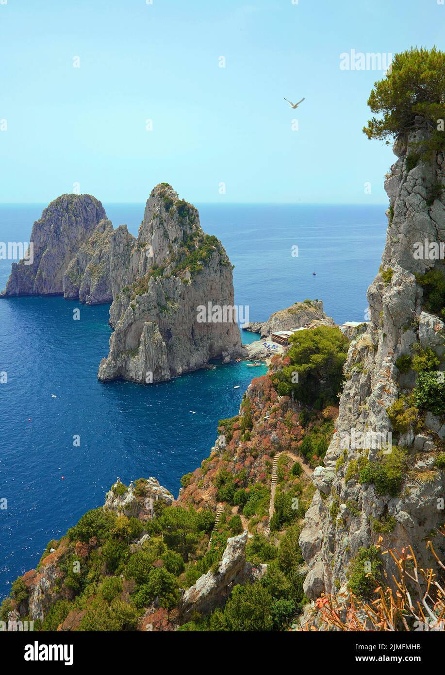 Blick vom Garten des Augustus (Giardini di Augusto) auf die Faraglioni-Felsen, Südküste der Insel Capri, Golf von Neapel, Kampanien, Italien, Europa Stockfoto