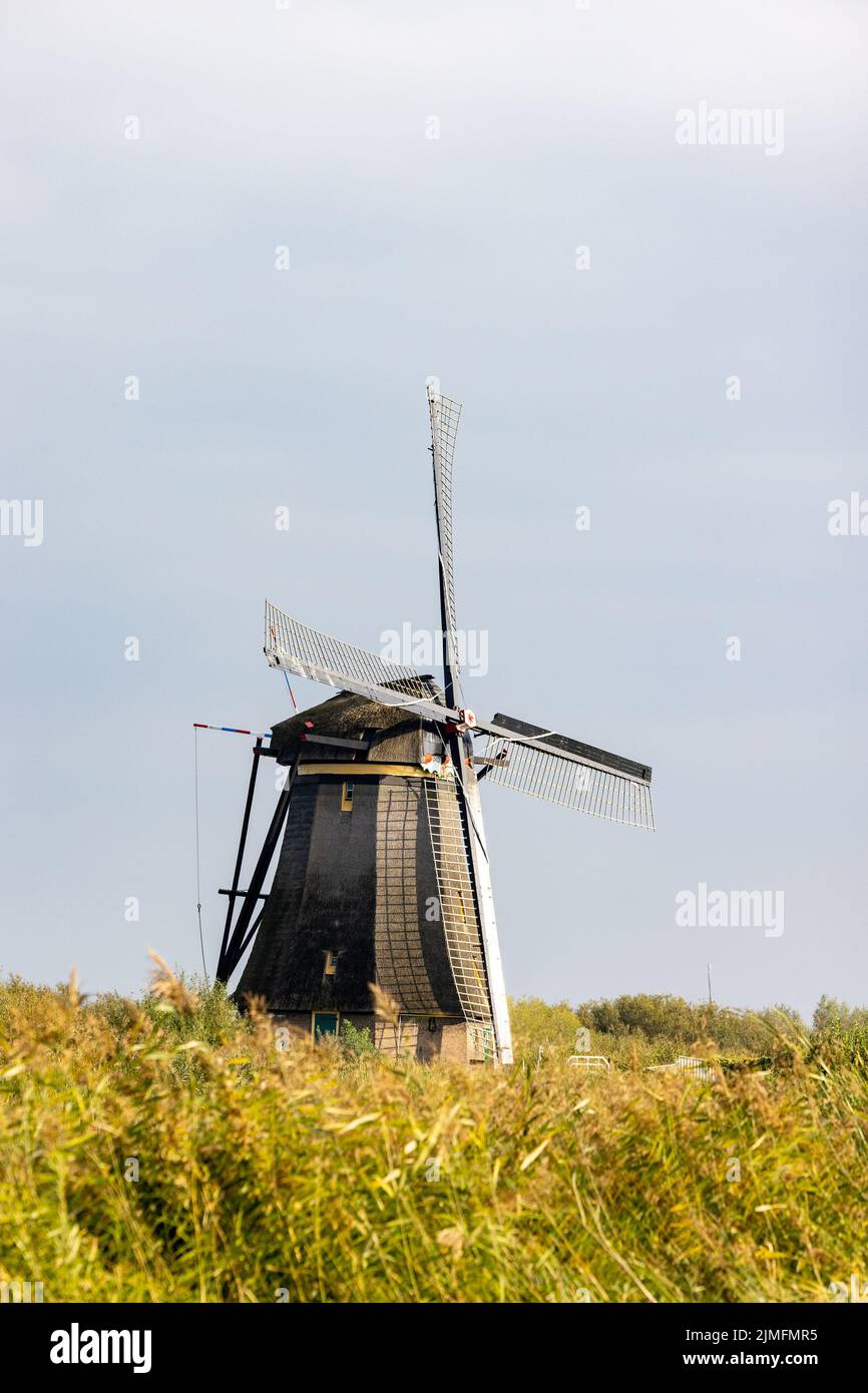 Vertikales Bild einer der berühmten niederländischen Windmühlen in Kinderdijk, einem UNESCO-Weltkulturerbe. Auf dem Foto ist eine Mühle von t Stockfoto