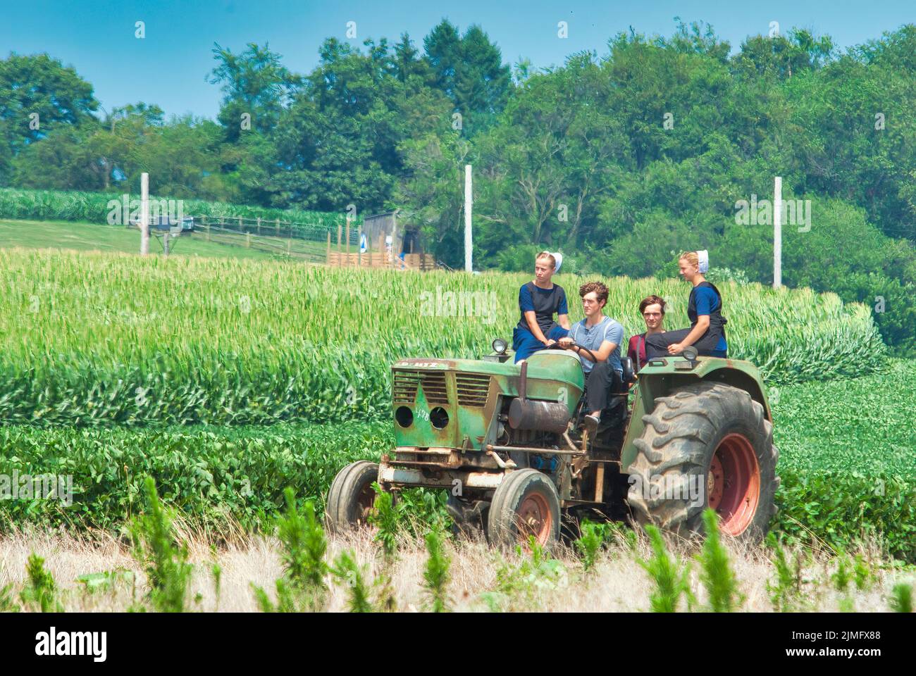 Jugendliche mit Amish Boy und Girl, die auf einem alten Traktor auf Ackerland reiten Stockfoto