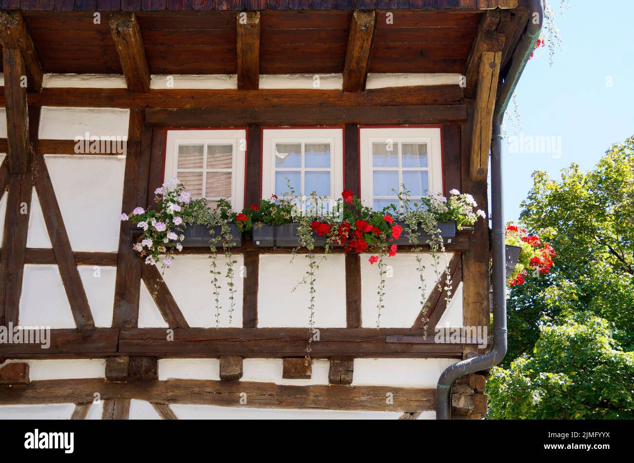 Ein herrliches großes Fachwerkhaus in Blaubeuren in Deutschland an einem schönen sonnigen Sommertag Stockfoto