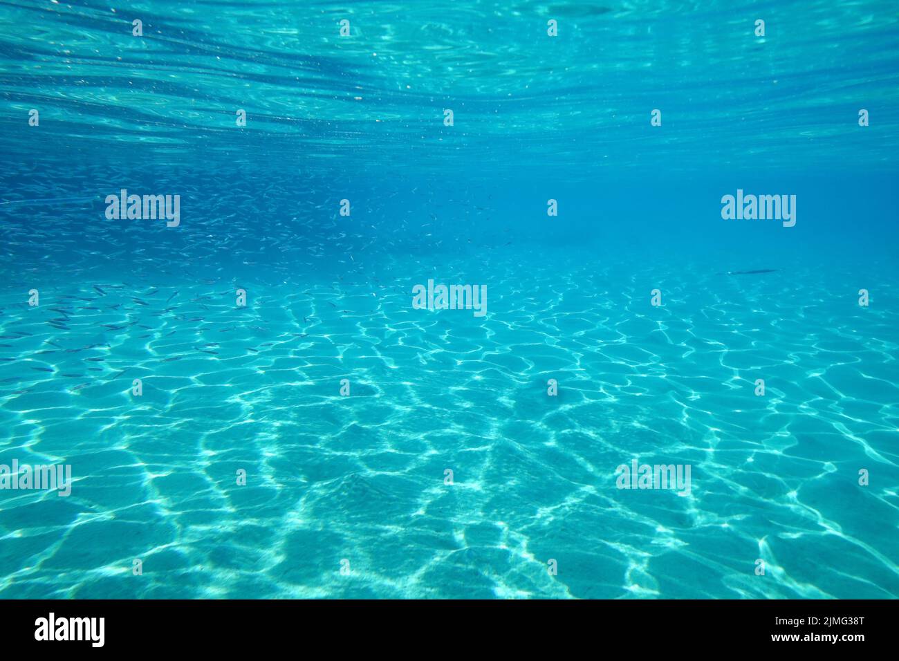 Unterwasser-Hintergrund Stockfoto