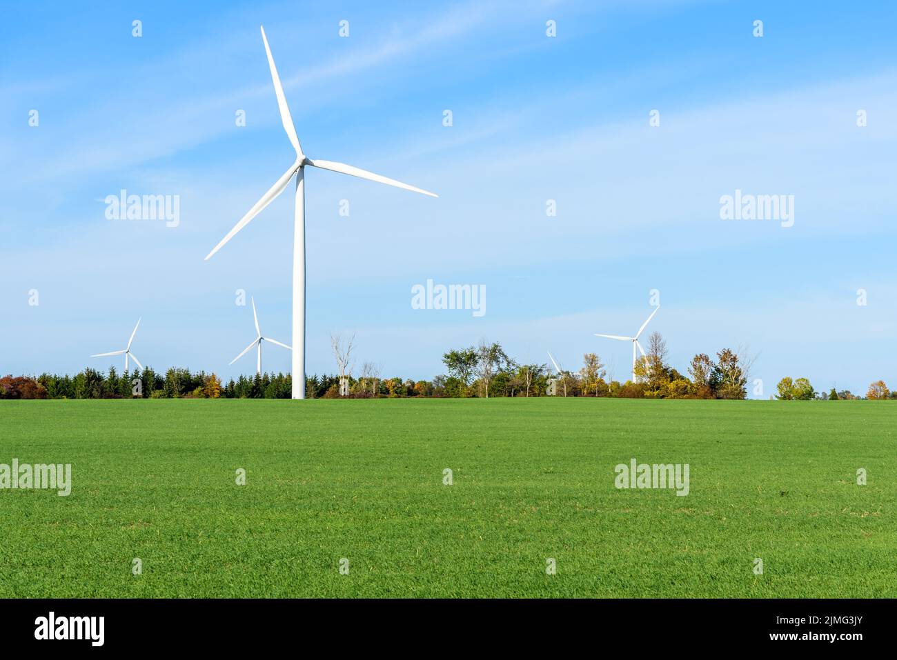 Hohe Windturbine auf einer Wiese, die an einem sonnigen Herbsttag von Herbstbäumen gesäumt ist. Andere Windenergieanlagen befinden sich im Hintergrund. Stockfoto