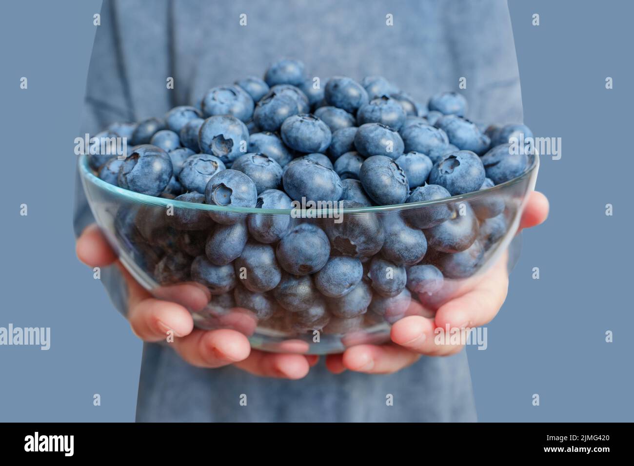 Frau hält eine große Glasschale mit frischen reifen Blaubeeren vor einem farblich passenden Hintergrund, Weitwinkel, selektiver Fokus. Stockfoto