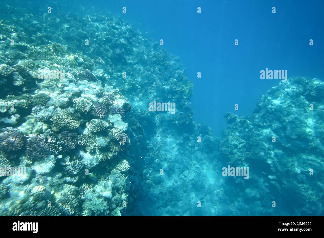 Unterwasser Riff Stockfoto