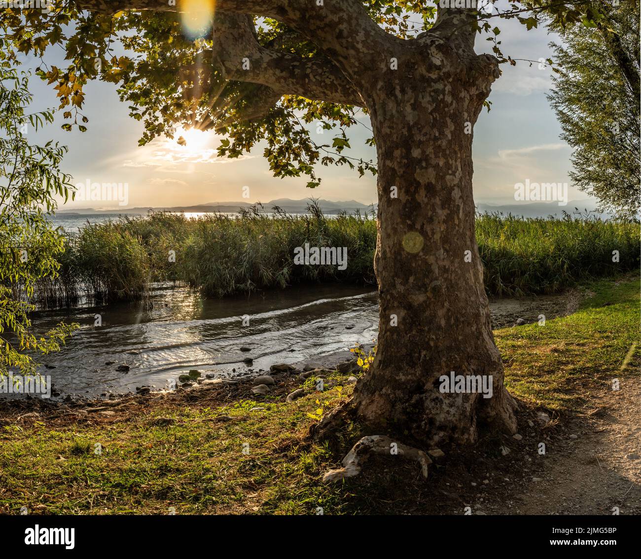 Sonnenuntergang in Lazise am Gardasee, Italien Stockfoto