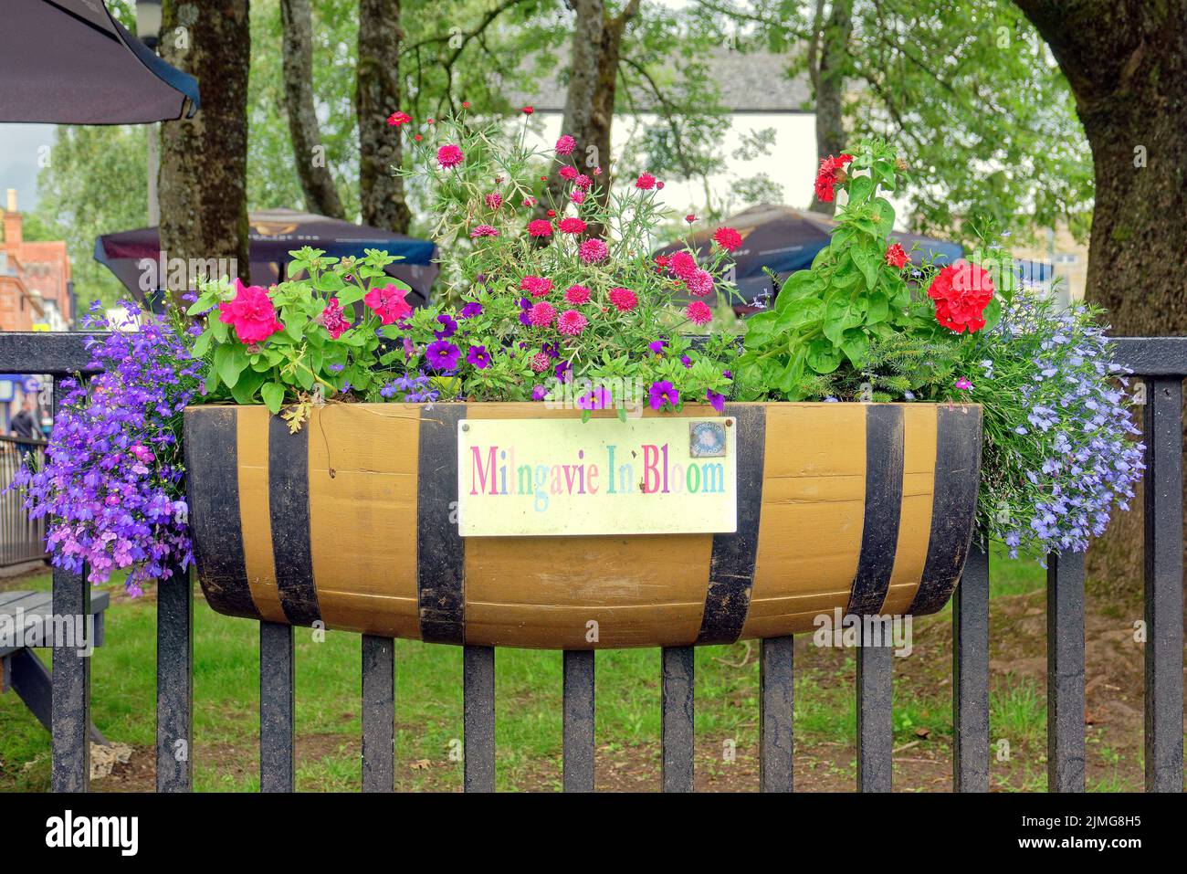 Milngavie, Glasgow, Schottland, Großbritannien 6.August 2022. Wetter in Großbritannien: Sunny sah Einheimische rund um den Stausee, der die Stadt versorgt und darüber thront, und in den Vororten ein hübsches kleines Stadtzentrum, das wie überall leidet. Credit Gerard Ferry/Alamy Live News Stockfoto