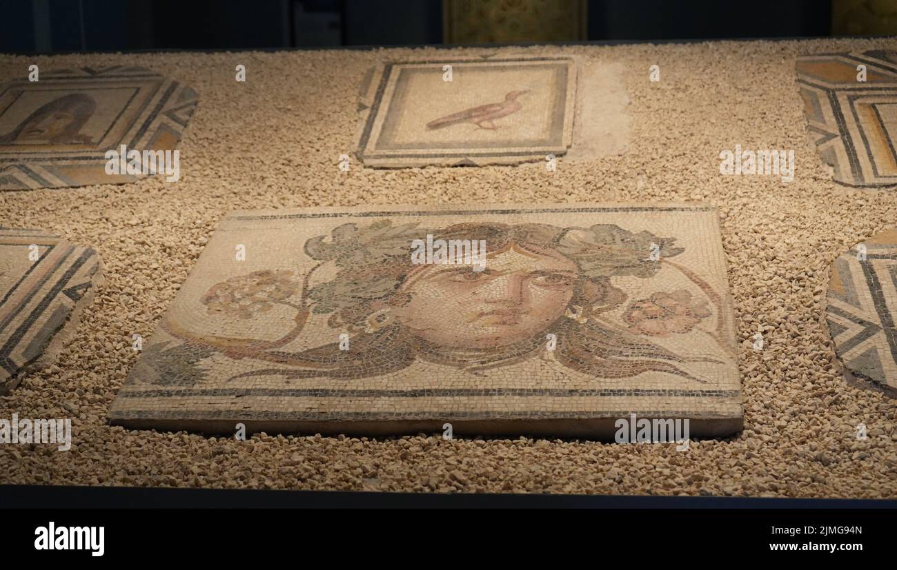 Dionysos Portrait Mosaic, Okeanos Villa, Gaziantep Mosaic Museum Stockfoto