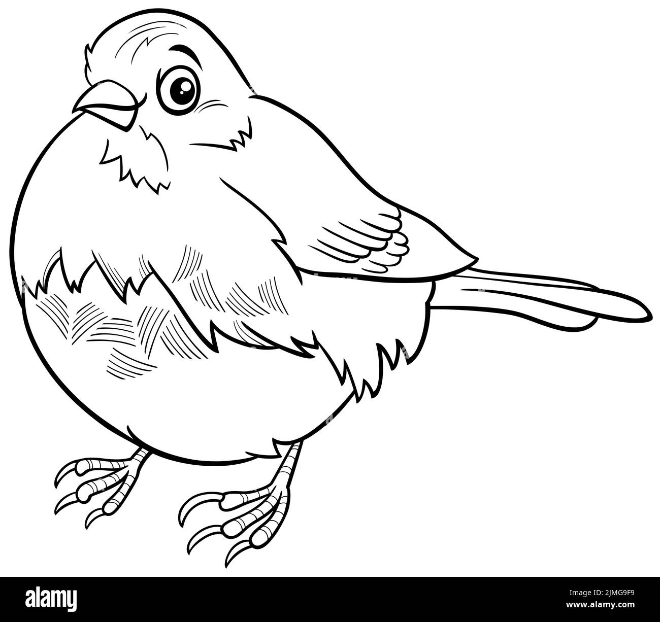 Cartoon junco Vogel Tier Charakter Färbung Buch Seite Stockfoto