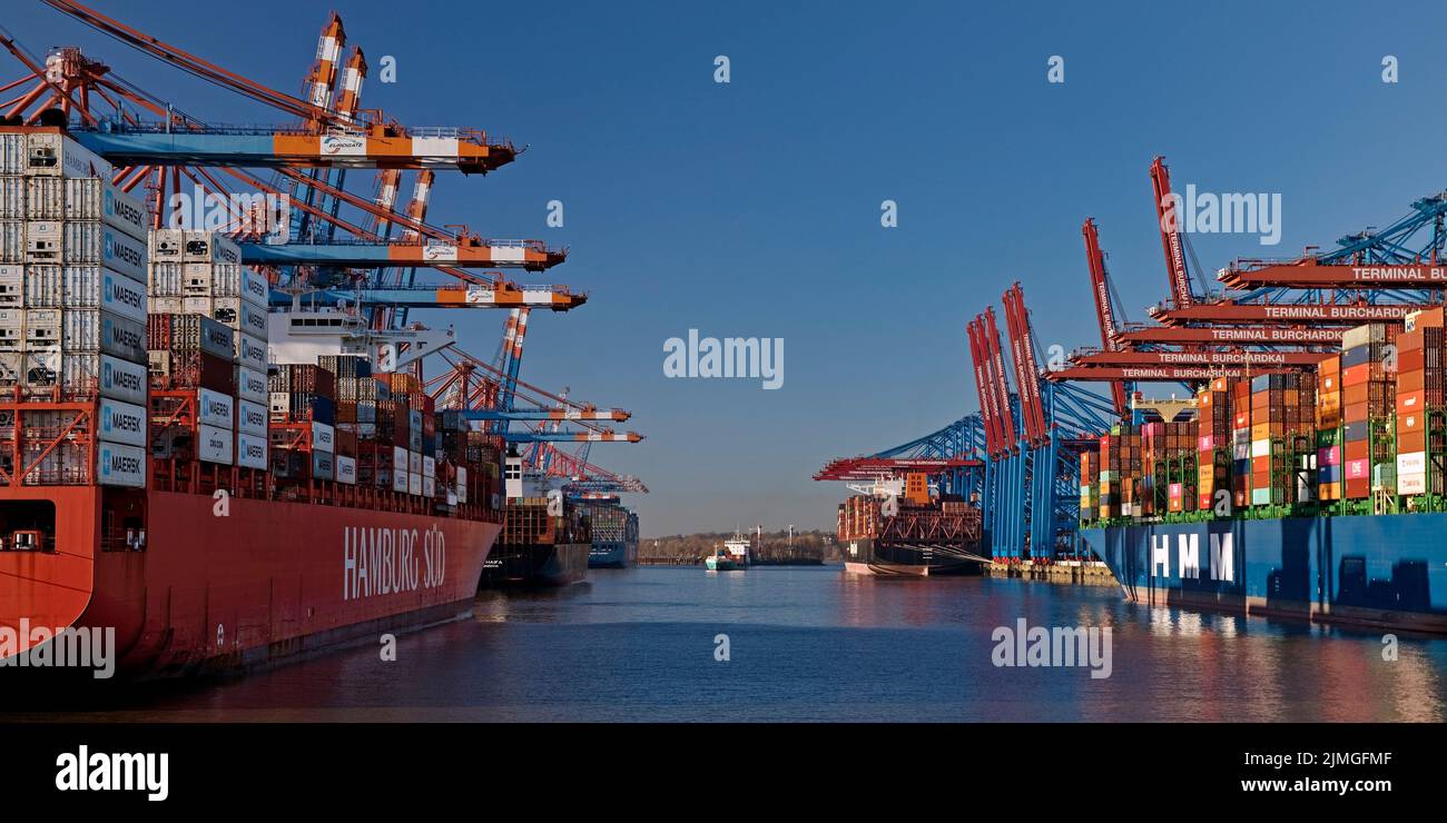 Containerschiffe am Containerterminal Eurogate und Burchardkai, Hamburg, Deutschland, Europa Stockfoto