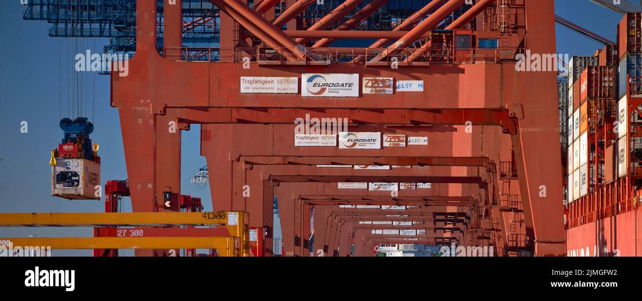 Containerbrücke am Containerterminal Eurogate, Hafen Hamburg, Deutschland, Europa Stockfoto