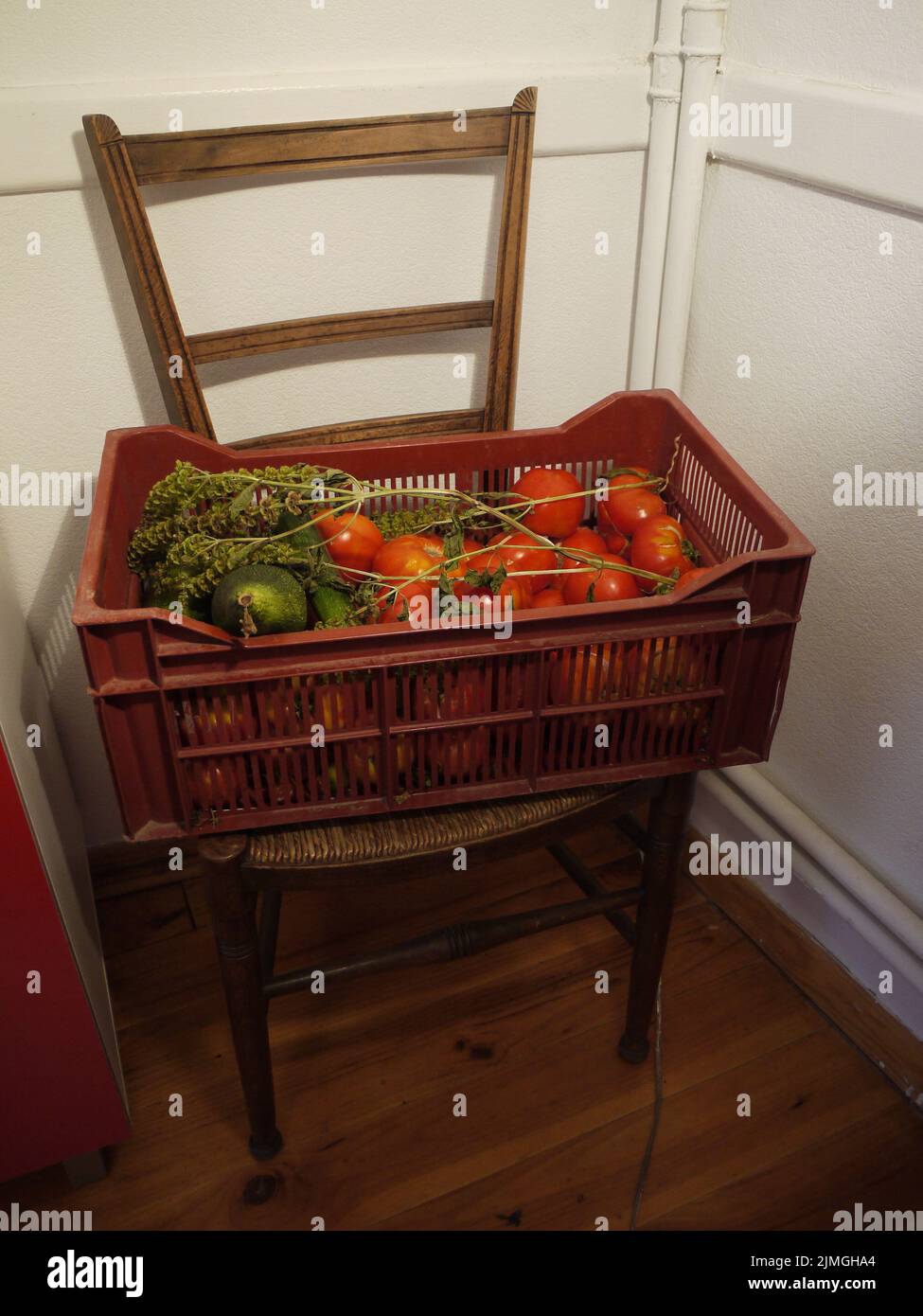 Frisch gepflückte Tomaten und verschiedene Sommergemüse Stockfoto