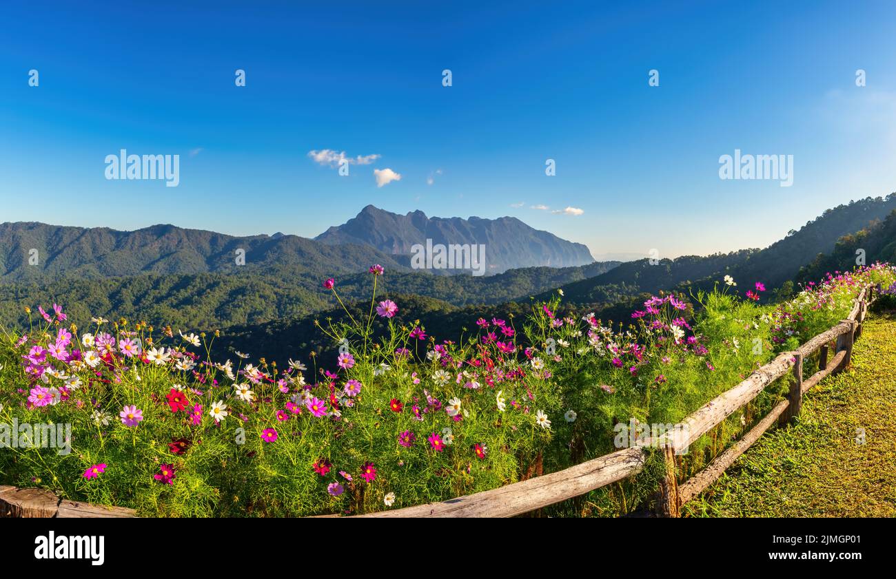Tropischer Wald Natur Landschaft Blick mit Bergkette bei Doi Chiang Dao, Chiang Mai Thailand PAN Stockfoto
