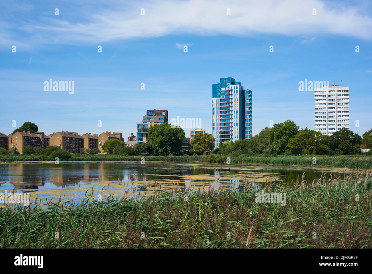 Woodberry Wetlands, North London, im Spätsommer 2022, mit alten und neuen Wohnungen im Hintergrund Stockfoto