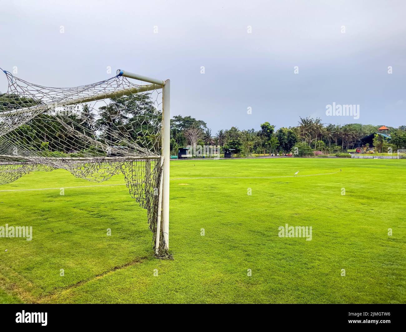 Blick durch das Netz von Fußballtoren auf einen großen Fußballplatz mit einem grünen Rasen, einem Tor gegenüber und Bäumen. Sport, Mannschaftssport Stockfoto