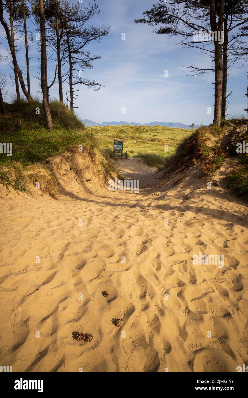 Ein Blick vom Wales Coast Path vom Newborough Forest in Richtung Newborough Warren, Isle of Anglesey, North Wales Stockfoto