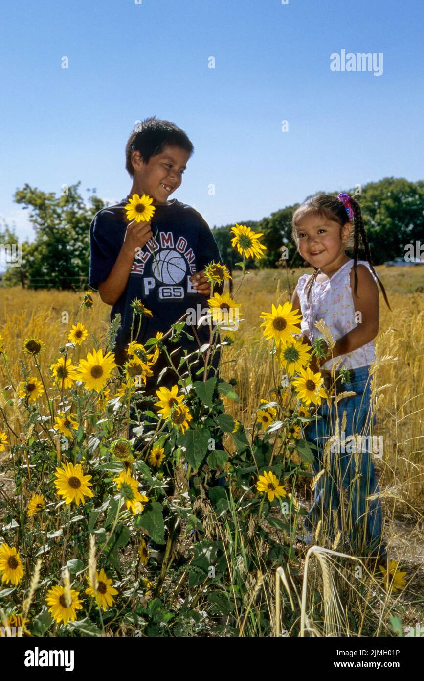 Zwei Kinder, Bruder und Schwester, pflücken gemeinsam im Indianerreservat Fort Hall in Idaho wilde Sonnenblumen Stockfoto